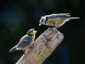 非公開求人の面接前日にやることは？