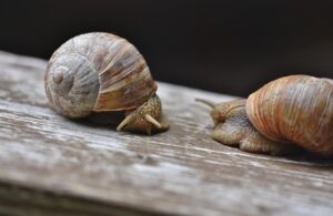 非公開求人の面接当日に朝にすることは何ですか？